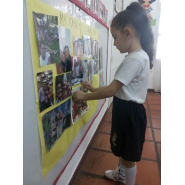 Trabajitos sobre la familia en Ingles con Salita de 5 años